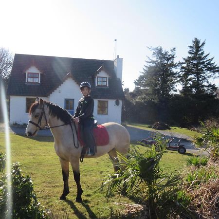 Letterfrack Farmhouse On Equestrian Farm In Letterfrack Beside Connemara National Park Tullywee Bridge Kültér fotó