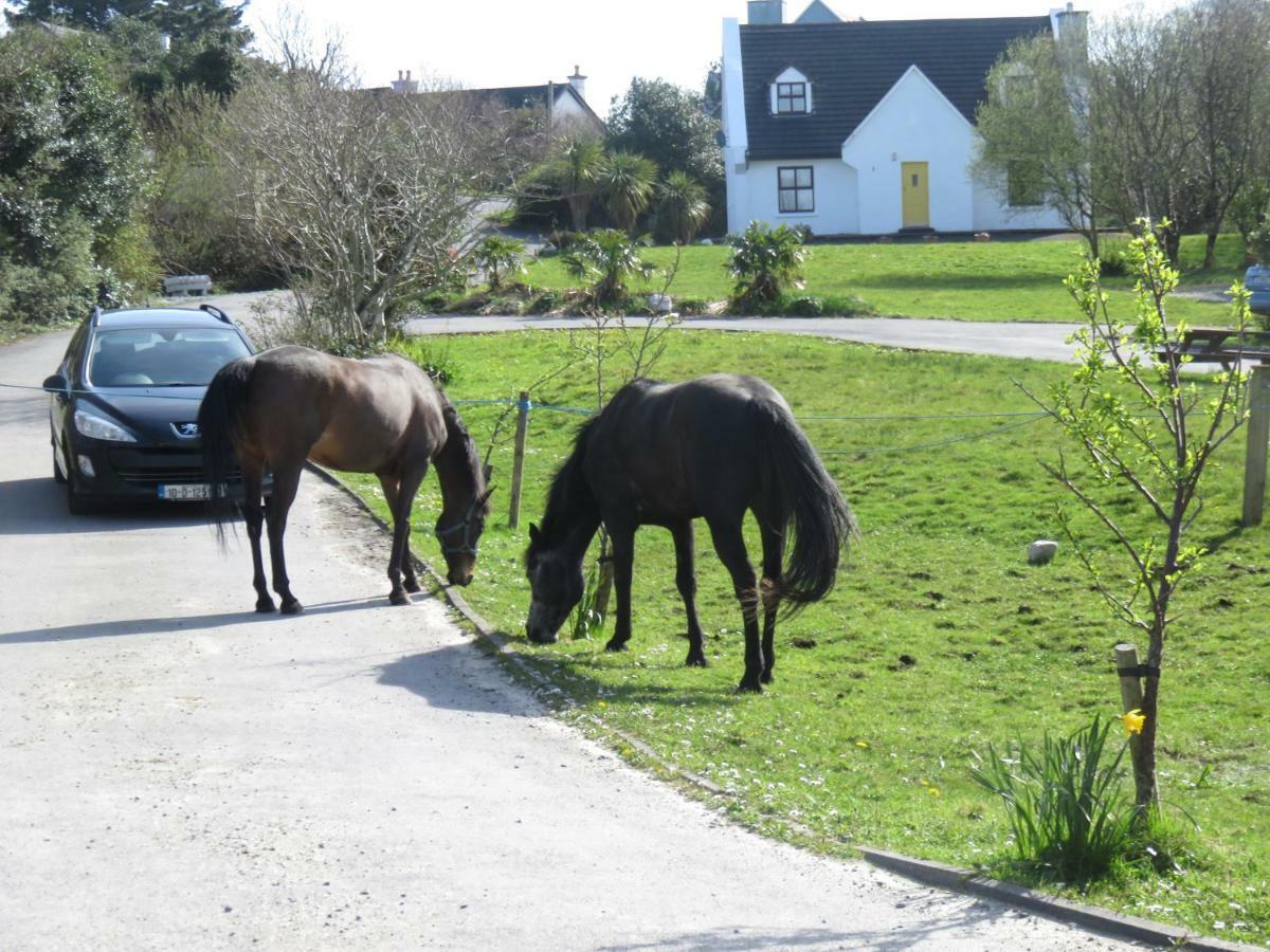 Letterfrack Farmhouse On Equestrian Farm In Letterfrack Beside Connemara National Park Tullywee Bridge Kültér fotó
