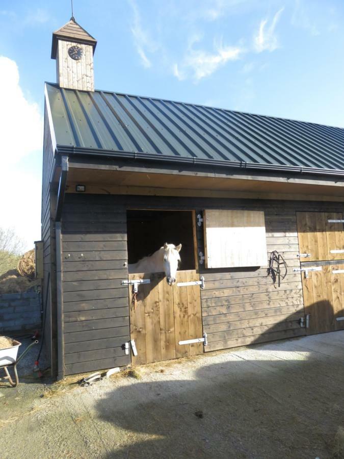 Letterfrack Farmhouse On Equestrian Farm In Letterfrack Beside Connemara National Park Tullywee Bridge Kültér fotó